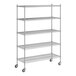 A Regency chrome wire shelving unit with 5 shelves.