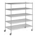 A Regency chrome wire shelving unit with wheels and five shelves.