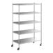 A Regency stainless steel mobile shelving unit with wheels.