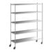 A Regency stainless steel mobile shelving unit with wheels.