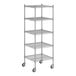 A Regency stainless steel wire shelving unit with five shelves.