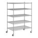 A Regency chrome wire shelving starter kit with 5 shelves and wheels.