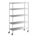 A Regency stainless steel mobile shelving unit with wheels.