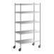 A Regency stainless steel mobile shelving unit with 5 shelves and wheels.