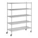 A wireframe of a Regency stainless steel wire shelving unit with five shelves.