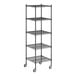 A Regency black wire shelving unit with five shelves.