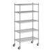 A Regency stainless steel wire shelving unit with five shelves.