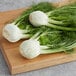 Fresh fennel bulbs on a wooden cutting board.