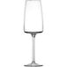 A close-up of a clear Schott Zwiesel Sensa flute wine glass with a long stem.