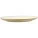 A close up of a white Dalebrook melamine plate with a thin rim.