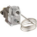 A Robertshaw BJWA thermostat with a 36" capillary and wire.