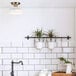 A white semi-flush mount light with gold accents over a kitchen counter with plants.