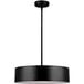 A Canarm Dexter black pendant light with a circular black shade.