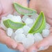 A hand holding a pile of Pitaya Foods IQF organic aloe vera pieces.