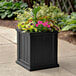 A black square Mayne Cape Cod planter with flowers.