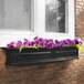 A black rectangular Mayne window box with purple flowers.