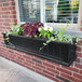 A Mayne Cape Cod Black Window Box on a brick wall with different plants inside.