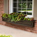 A Mayne Nantucket espresso window box planter on a brick wall with green and purple leaves.
