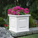 A white square Mayne Nantucket planter with pink flowers in it.