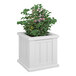 A plant in a white Mayne Cape Cod planter.