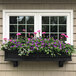 A black Mayne Nantucket window box with purple flowers on a window.