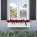 A Mayne Cape Cod white window box with red flowers.