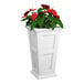 A close-up of red flowers in a white Mayne Fairfield planter.