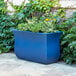 A Neptune Blue rectangular Mayne Valencia Trough Planter with plants in it.