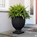 A Mayne black planter with a fern in it.