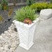 A white Mayne Georgian planter with green plants in it.