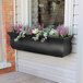 A black Mayne Valencia window box with purple flowers.