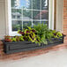 A Mayne Nantucket black window box with different plants in it.