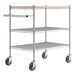 A Regency chrome utility cart with three shelves and black wheels.