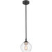 A Globe pendant light with a black metal pole and clear glass shade.