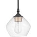 A Globe pendant light with clear glass shade and black metal frame.