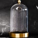 A Flavour Blaster large glass cloche with a gold base.