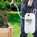 A person using a Chapin horticultural vinegar sprayer to spray a plant.