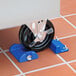 A Dormont caster with blue plastic holders on a wheel.