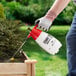 A person using a Chapin handheld sprayer to spray a plant.