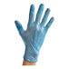 A person's hand wearing a blue Noble Products vinyl glove.