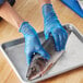 A person in blue Noble Products powder-free disposable gloves holding a fish.