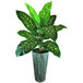 A 48" artificial dieffenbachia plant in a copper washed metal planter.