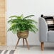 A plant in a basket on a wooden tripod stand.