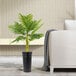 A LCG Sales artificial palm plant in a black metal planter.