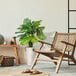 A white metal planter with a Monstera plant in it next to a chair.