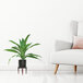 A black LCG Sales ceramic plant stand with a green plant in a pot next to a white chair.