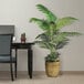 A room with a plant in a basket next to a desk.