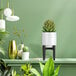 A white ceramic plant stand with succulent plants in pots on it.