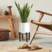 A white ceramic plant stand with a plant in a white pot.