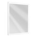An American Specialties, Inc. rectangular plate glass mirror with a frosted border and LED backlight.
